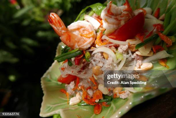 thai glass noodle salad , yam woon sen. - fideo transparente fotografías e imágenes de stock