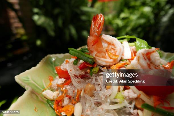 thai glass noodle salad , yam woon sen. - vermicelle chinois photos et images de collection