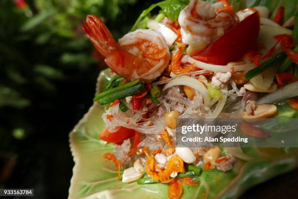 thai glass noodle salad , yam woon sen. - vermicelle chinois photos et images de collection