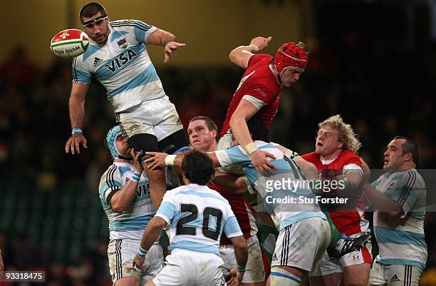 Argentina number 8 Juan Martin Fernandez Lobbe wins a line out ball during the International Rugby Union match between Wales and Argentina at...