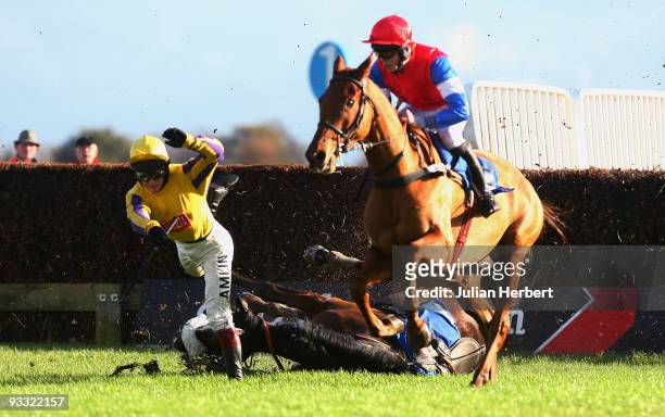 Richard Johnson parts company with Beherayn at the 3rd fence during The Chateau de Sours Novices' Steeple Chase Race run at Kempton Park Racecourse...