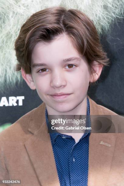 Prestyn Bates arrives for the premiere of Warner Bros. Pictures and IMAX Entertainment's "Pandas" at TCL Chinese Theatre IMAX on March 17, 2018 in...