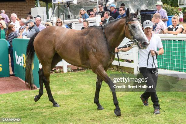 Christie after winning the Robert Rose Foundation Maiden Plate at Yarra Valley Racecourse on March 18, 2018 in Yarra Glen, Australia.