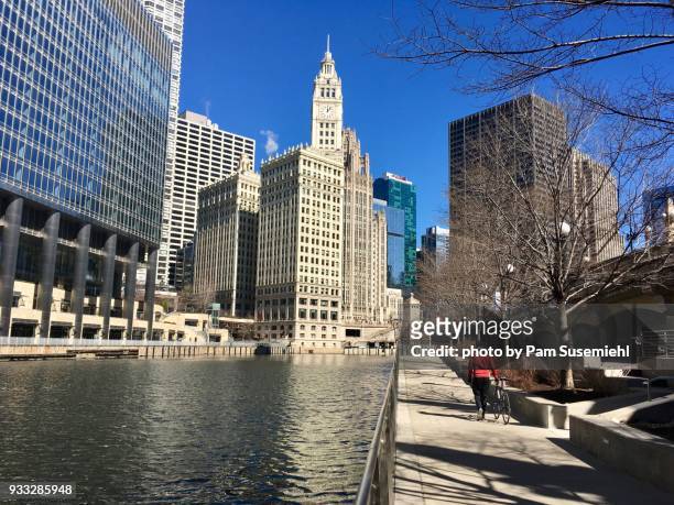 chicago skyline, riverwalk view - tribune tower stockfoto's en -beelden