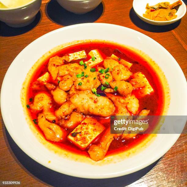 sliced fish meat and tofu cooked in szechwan cuisine style - spicy fish szechuan stock-fotos und bilder