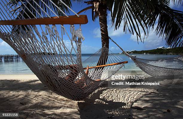 Having a rest in the hammock at the beach und some palms, on November 14, 2008 in Great Guana Cay, Bahamas.
