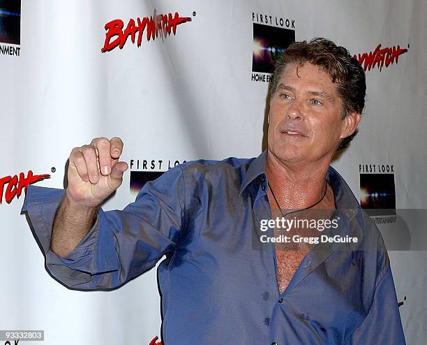 David Hasselhoff