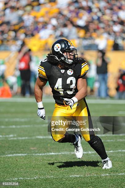 Safety Troy Polamalu of the Pittsburgh Steelers drops back in pass coverage during a game against the Minnesota Vikings at Heinz Field on October 25,...
