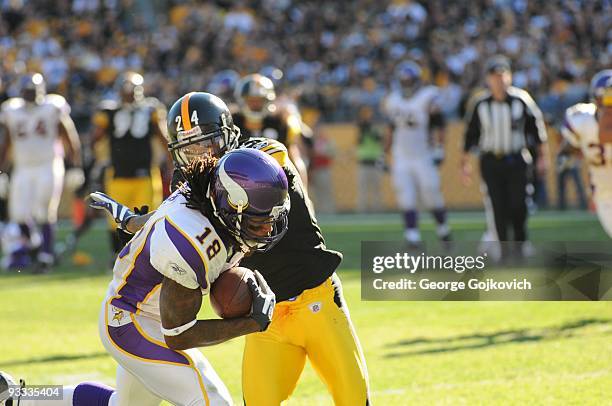 Wide receiver Sidney Rice of the Minnesota Vikings catches a pass against cornerback Ike Taylor of the Pittsburgh Steelers during a game at Heinz...