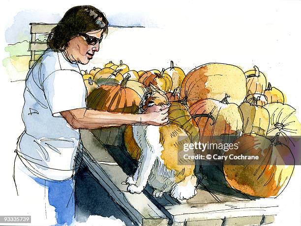 woman with cat and pumpkins - sunglasses woman stock illustrations