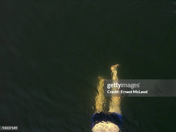 lake swimmer from above - zona lombare foto e immagini stock