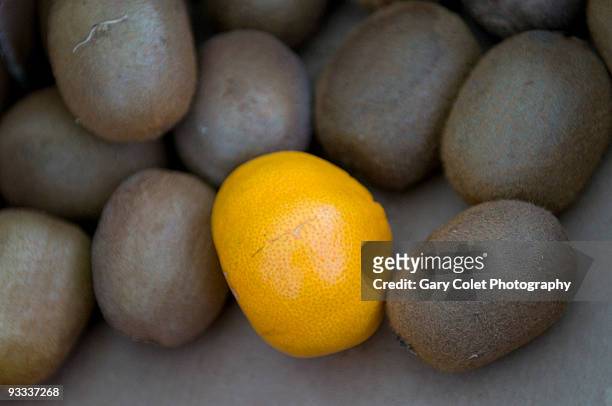 orange satsuma kiwi - gary colet stock pictures, royalty-free photos & images