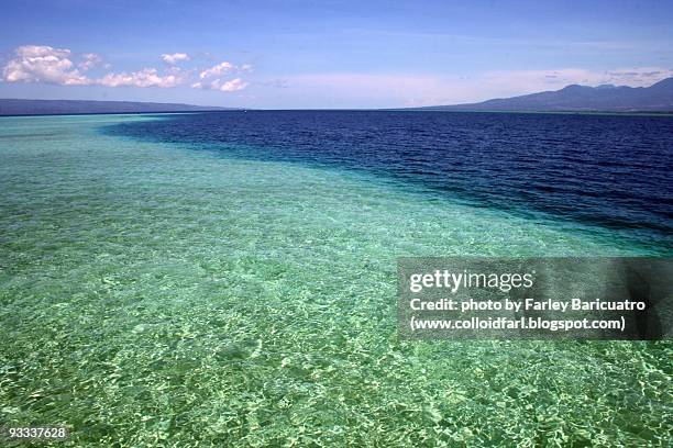 sandbar during high tide - negros oriental stock pictures, royalty-free photos & images