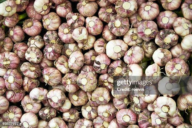 piled garlic bulbs - roevin fotografías e imágenes de stock