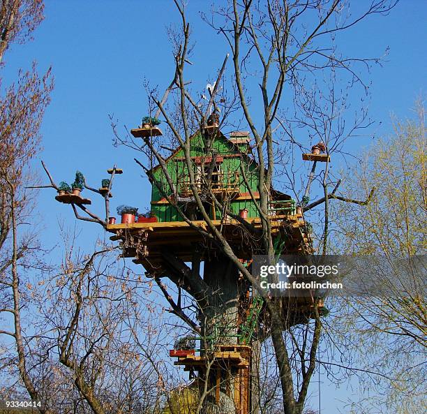 treehouse - holzhaus stock pictures, royalty-free photos & images