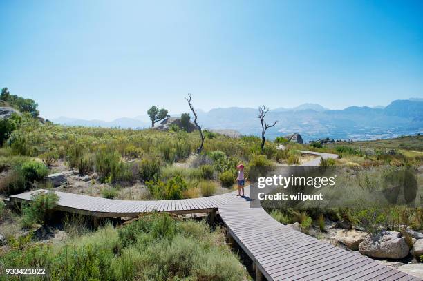 een gevorkte lopen manier crossroad voor jong meisje met pet - alleen één tienermeisje stockfoto's en -beelden