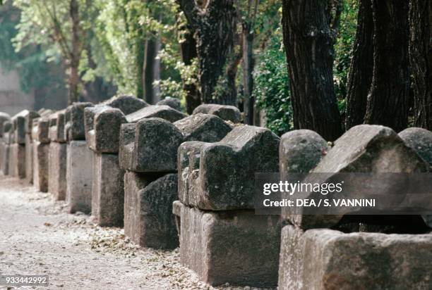 Necropolis of Alyscamps, Arles , Provence-Alpes-Cote d'Azur, France. Roman civilisazion.
