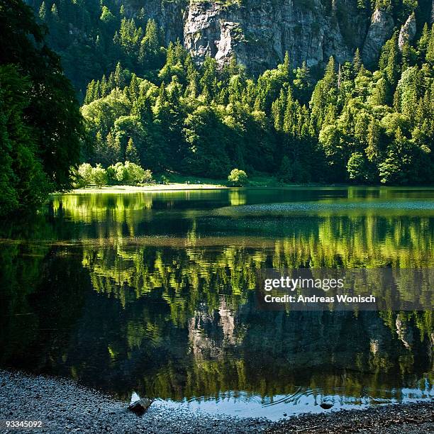 lake view - schwarzwald foto e immagini stock