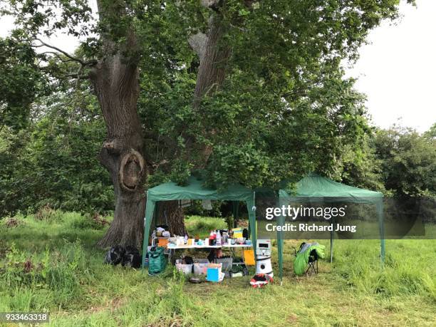 two gazebos over camp kitchen under oak tree. - makeshift kitchen stock pictures, royalty-free photos & images