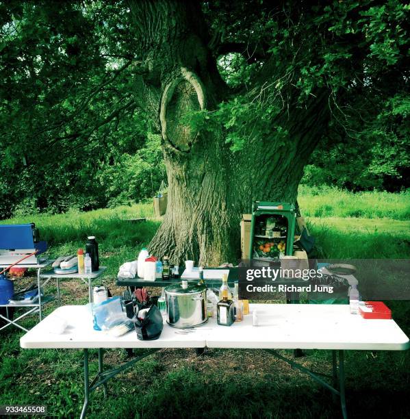 camp kitchen prep table under large oak tree - makeshift kitchen stock pictures, royalty-free photos & images