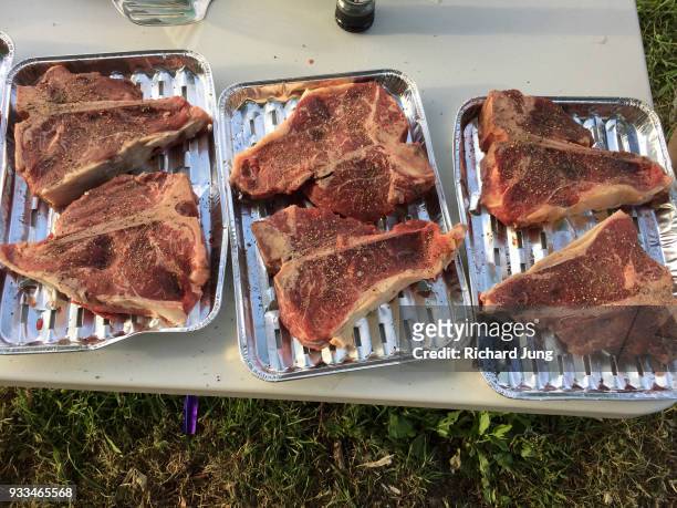 raw t-bone steaks seasoned and ready to cook. - camping with bone fire stock-fotos und bilder