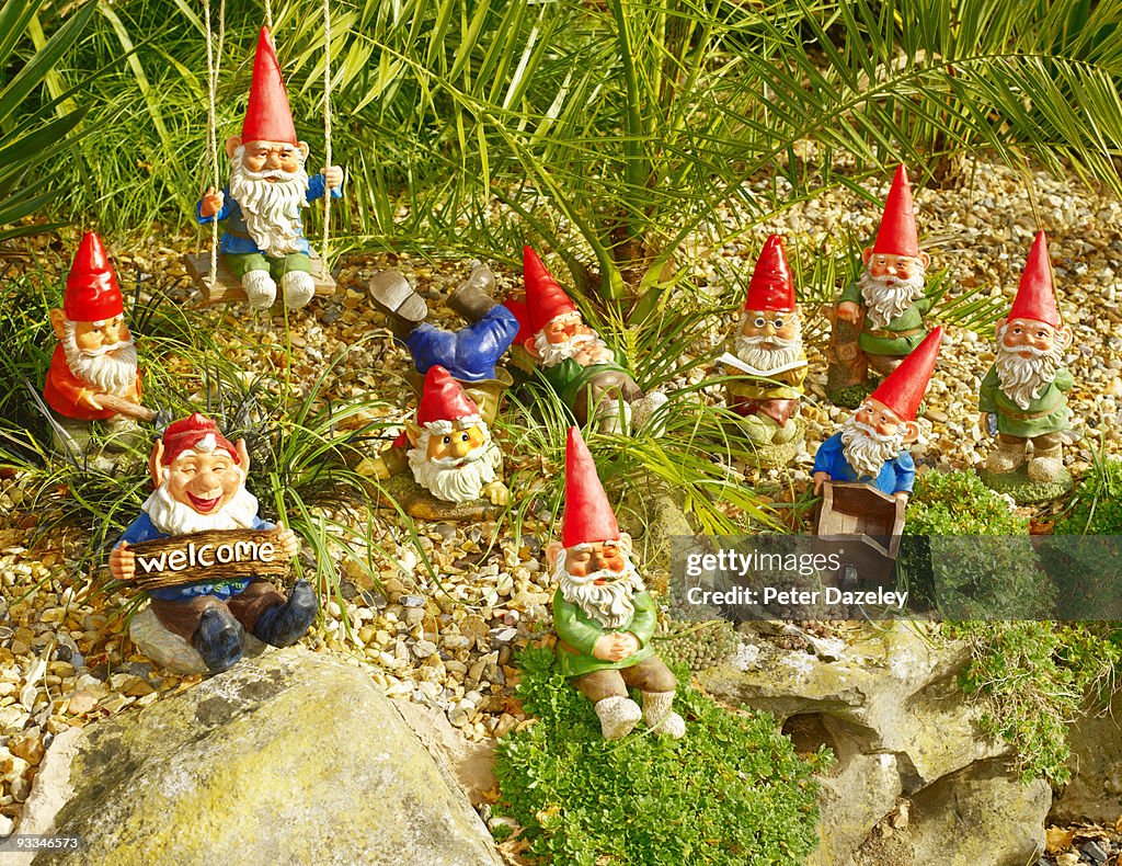 Family of garden gnomes in garden setting.