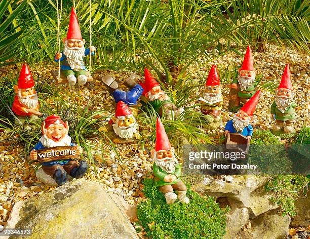 family of garden gnomes in garden setting. - gnome collection stock pictures, royalty-free photos & images