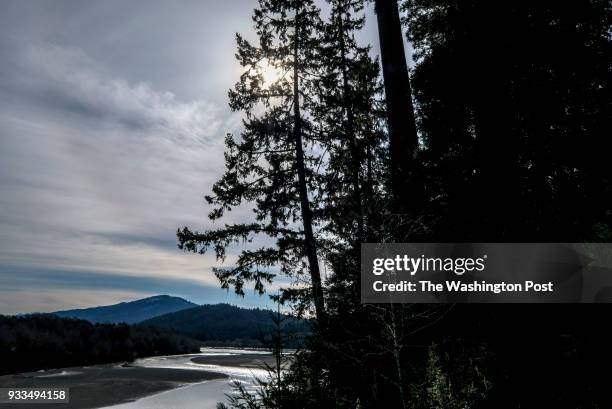 The Eel River snakes past Humboldt Redwoods State Park in Humboldt County, CA on March 6, 2018. Environmentalists are concerned about the impacts of...