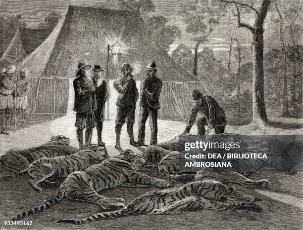 Tigers killed in the first day of hunting, Albert Edward, Prince of Wales, hunting in Nepal, illustration from the magazine The Graphic, volume XIII,...
