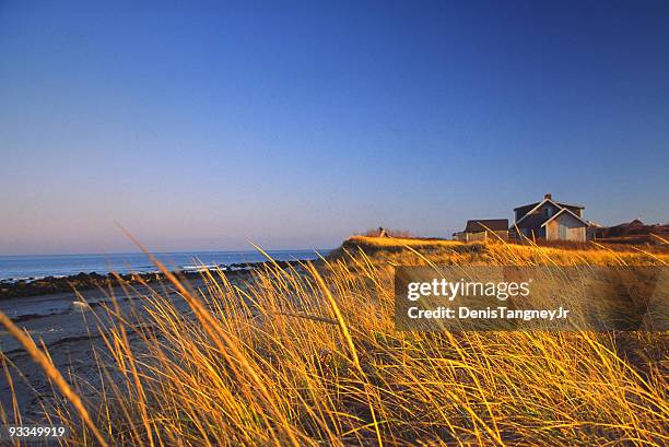 golden marsh - massachusetts beach stock pictures, royalty-free photos & images