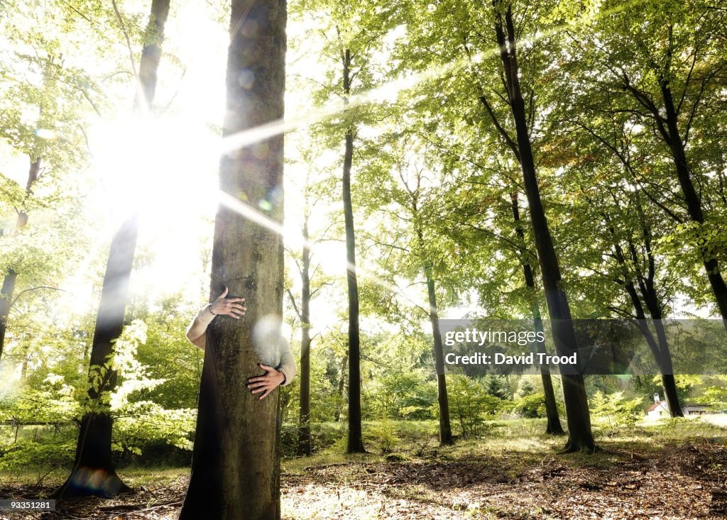 Man hugging tree