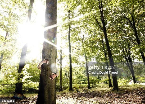 man hugging tree - david trood stock pictures, royalty-free photos & images