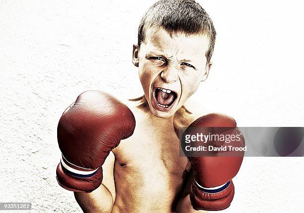 young boy with boxing gloves yelling at camera. - david trood stock-fotos und bilder