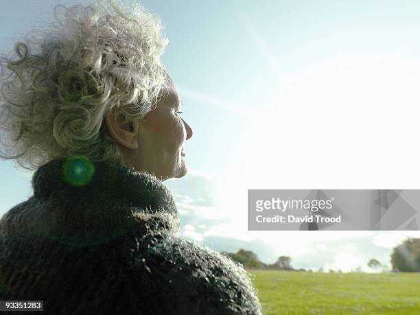 mature woman looking at the sunrise. - david trood stock-fotos und bilder
