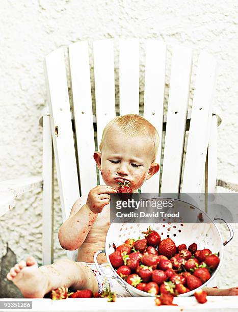 baby eating strawberries - david trood stockfoto's en -beelden