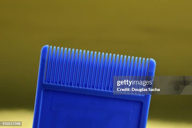 fine toothed lice cleaning comb - piolho humano imagens e fotografias de stock