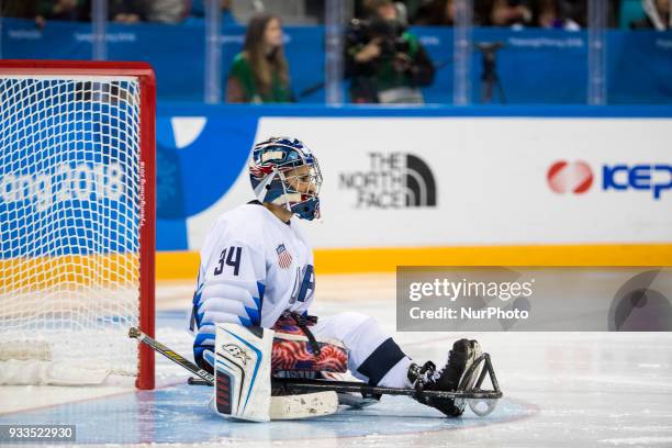 Steve CASH during The Ice Hockey gold medal game between Canada and United States during day nine of the PyeongChang 2018 Paralympic Games on March...