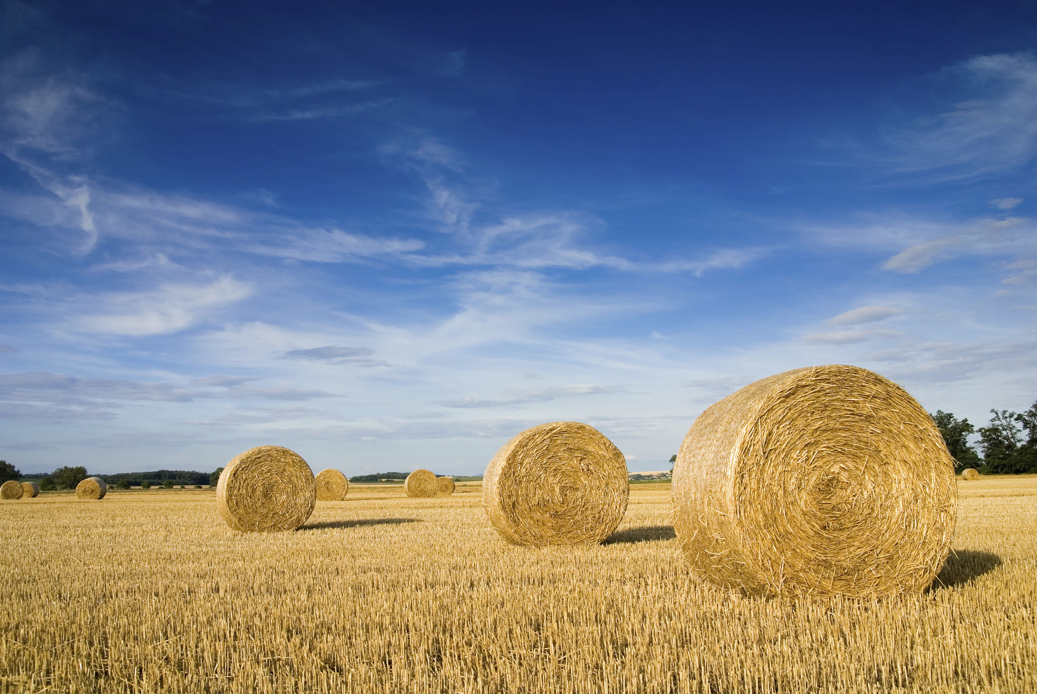 hay bales field