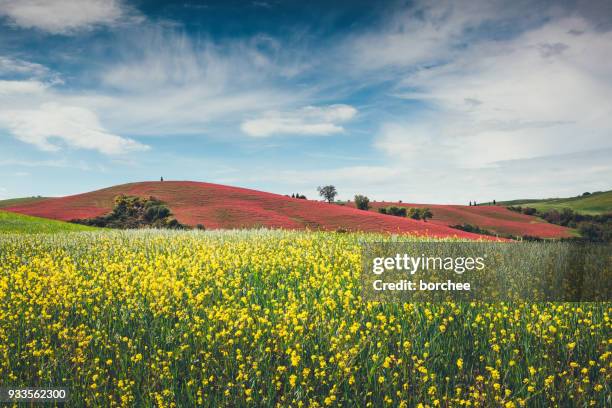 toscana campo - landscape fotografías e imágenes de stock