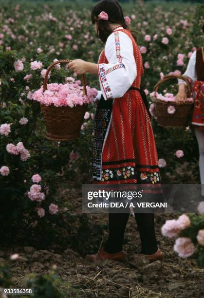 Girl wearing traditional clothes holding a basket of roses during the opening ceremony of the Rose festival, Kanzalak, Bulgaria.