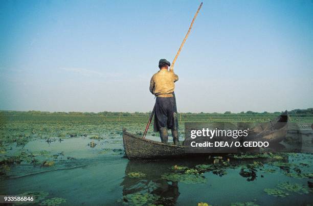 Fisherman in a dugout canoe in the swampy waters of the Danube Delta, , Romania.