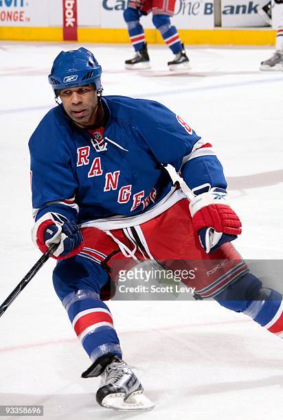 Donald Brashear of the New York Rangers skates against the Columbus Blue Jackets on November 23, 2009 at Madison Square Garden in New York City.