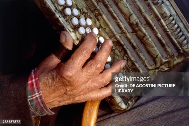 Accordion player, detail of the hands, Budapest, Hungary.