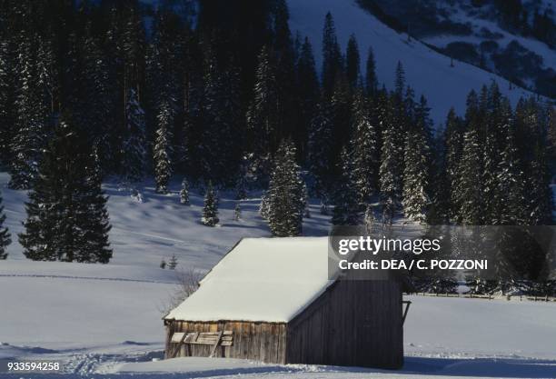 Snowy landscape with a small wooden house on the right, Berwang, Tyrol, Austria.