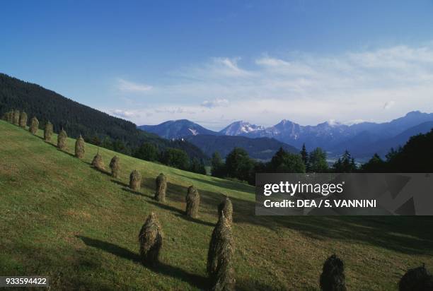 Meadow with haystacks seen from Paradies, Styria, Austria.