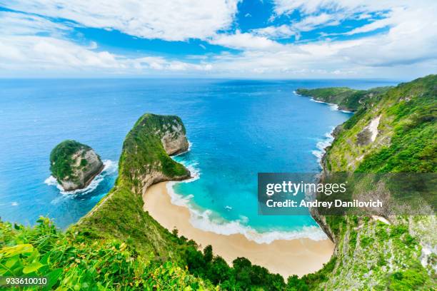 kelingking beach, nusa penida - nusa penida stock pictures, royalty-free photos & images