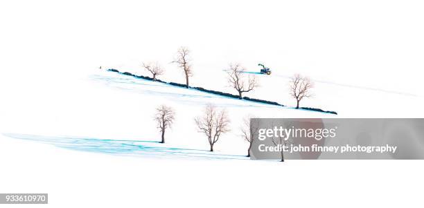 winter trees in snow on white, derbyshire, uk (long version). - buxton inglaterra fotografías e imágenes de stock