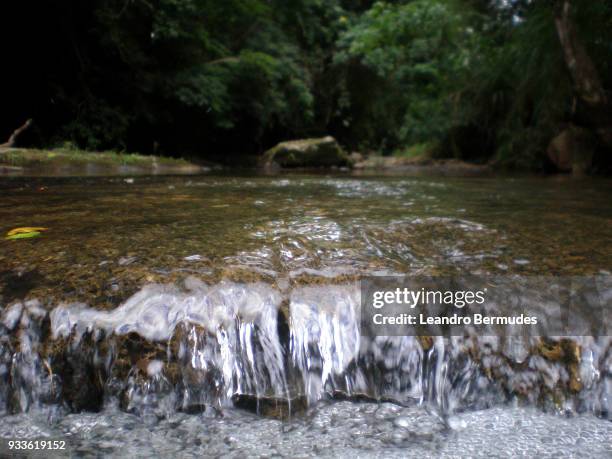 water for environmental education. - leandro bermudes stock pictures, royalty-free photos & images