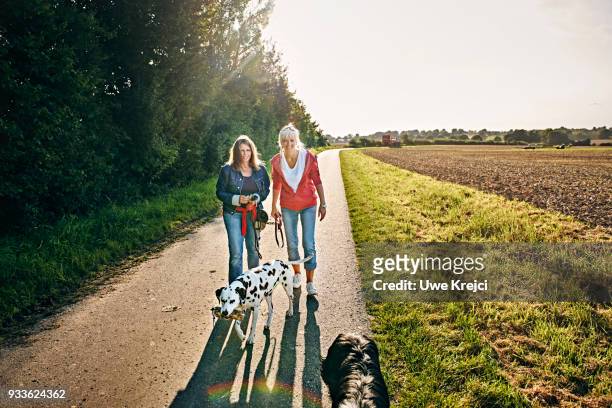 two women walk their dogs together - two dogs stock-fotos und bilder
