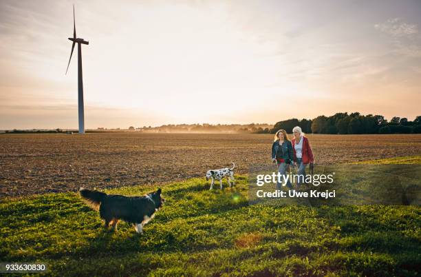 two women on a dog walk in the countryside - two animals ストックフォトと画像